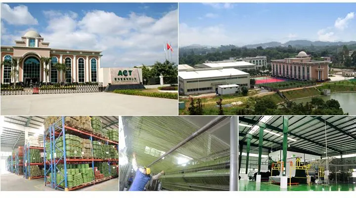 High Quality Chinese Manufacturer of Tennis Artificial Grass, Tennis Grass (SF10W6)